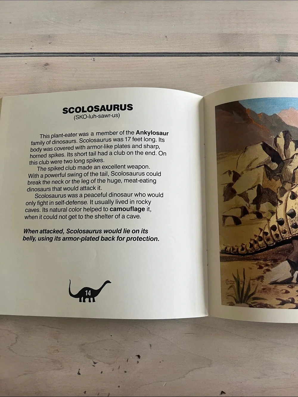 Set of 4 Dinosaur themed books, fiction and non-fiction